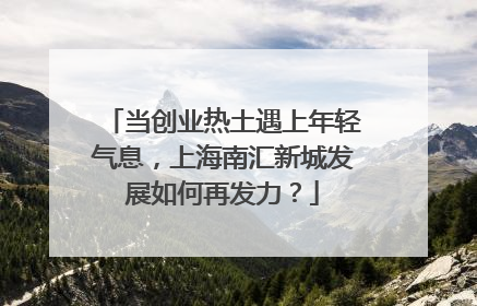 当创业热土遇上年轻气息，上海南汇新城发展如何再发力？